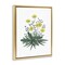Stupell Industries Dandelion Flower Illustration Floating Frame, design by Cecilia Battaini